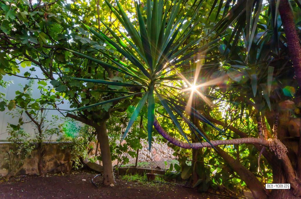 Villa Beautiful Countryside House Tiberias Exterior foto